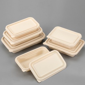 Φιλικό προς το περιβάλλον BPA δωρεάν μίας χρήσης κουτί μεσημεριανού γεύματος σε πακέτο συσκευασίας, βιοδιασπώμενο δοχείο τροφίμων